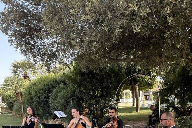 Quartetto d'archi