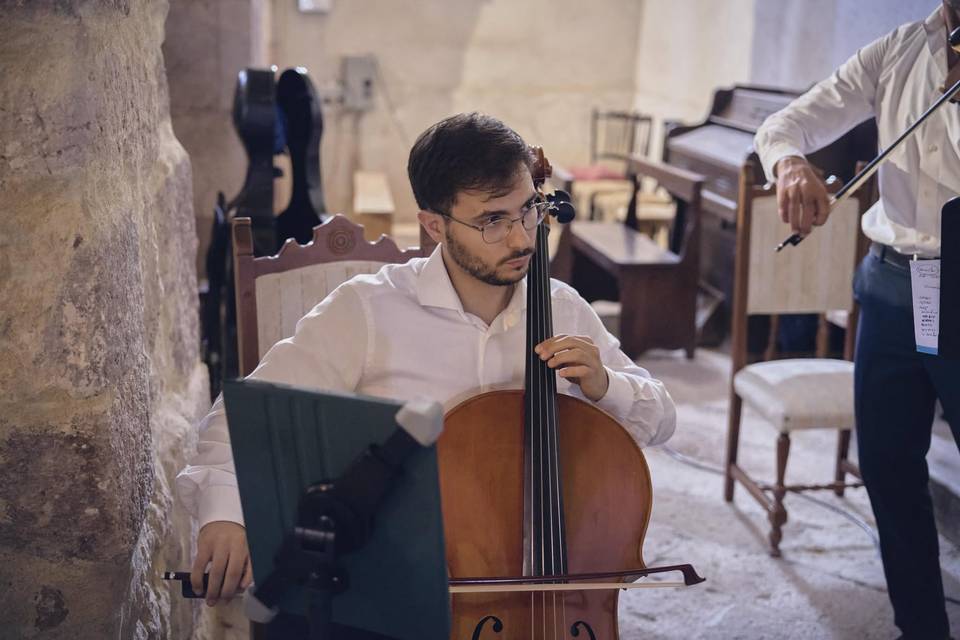 Violoncello