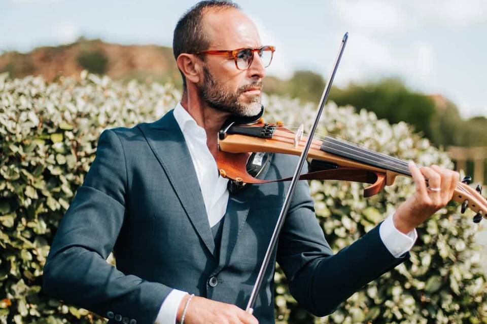 Violino