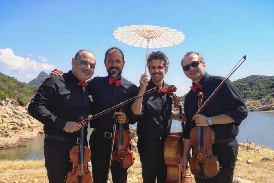 Quartetto d'archi