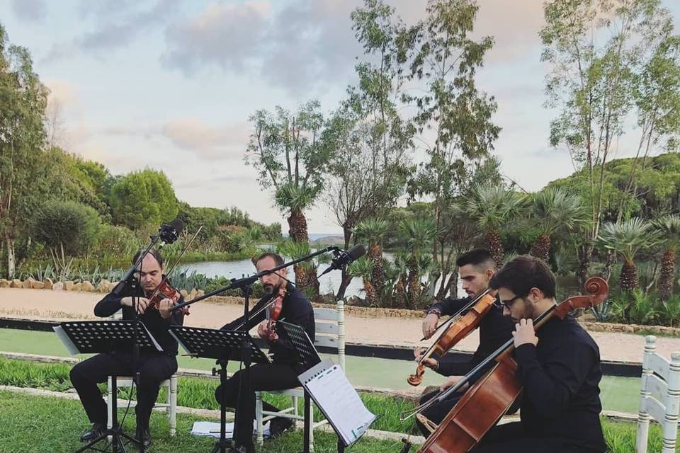 Garden sea view wedding