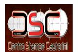 Centro Stampe Castorini logo
