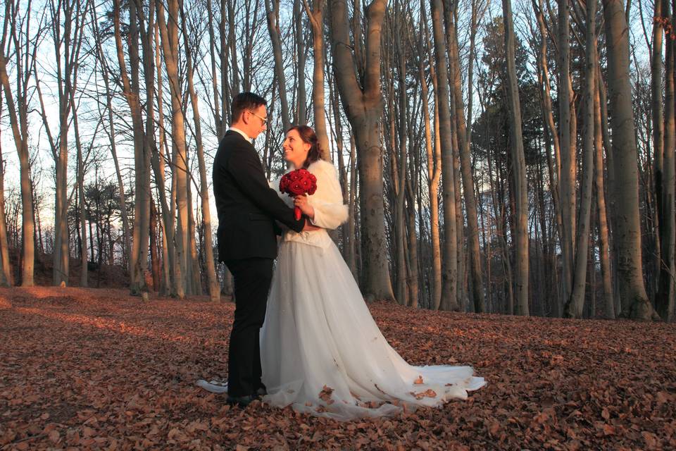 Matrimonio d'inverno