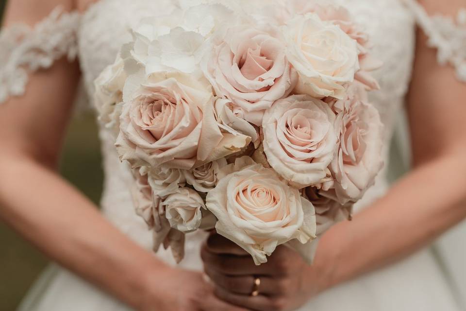 Fotografo matrimoni, Bologna