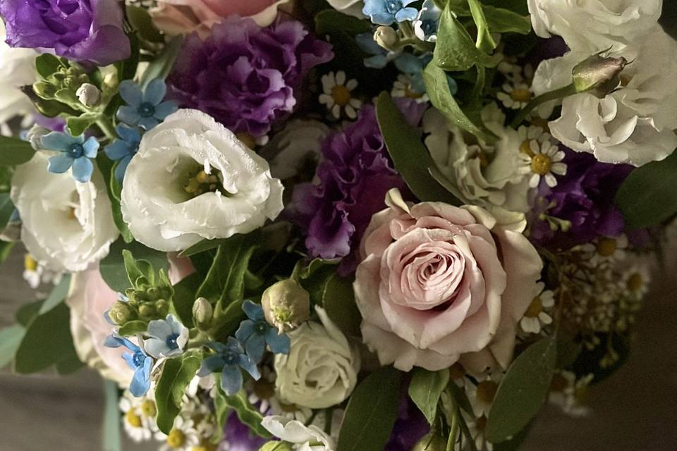 Un tocco di viola