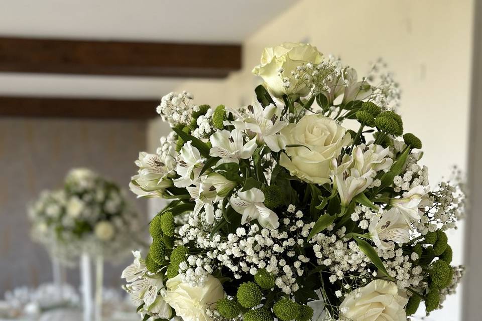 Green & white - la tavola