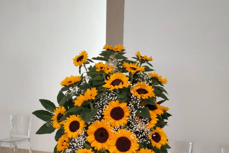 Girasoli