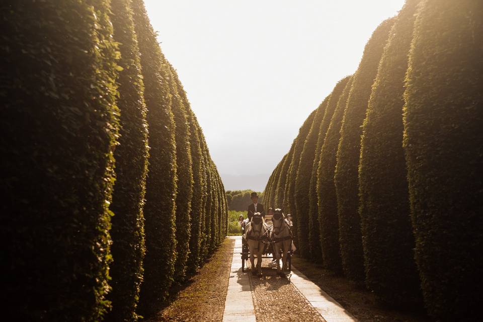 Carrozza sposa a La Cascinetta