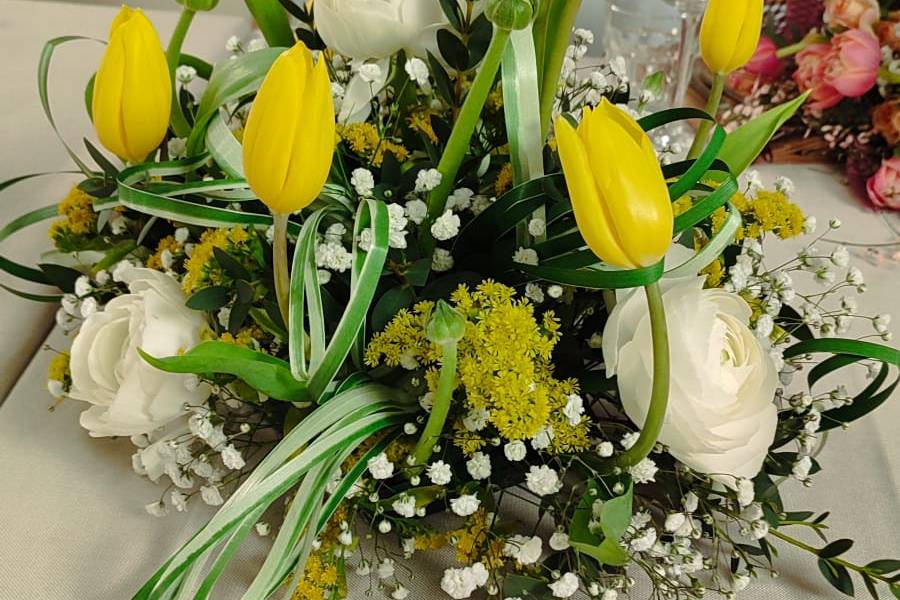 Tulipani
