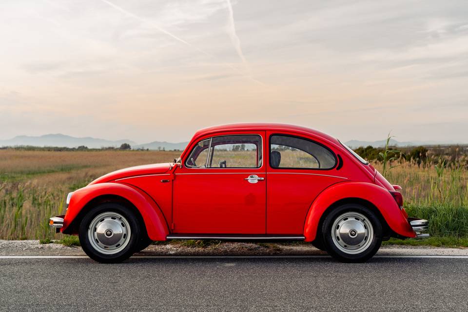 VW Beetle