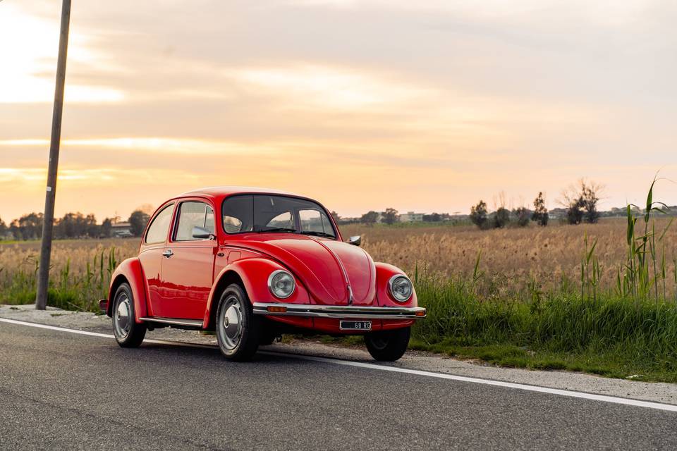 Volks Wagen