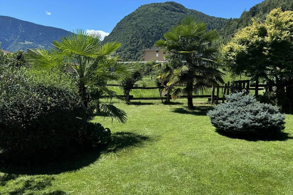 Giardino