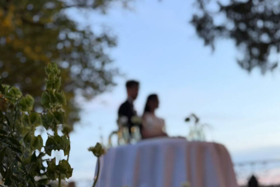 Il momento del taglio torta