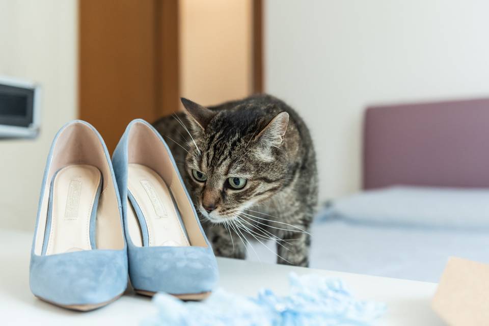 Preparazione Sposa