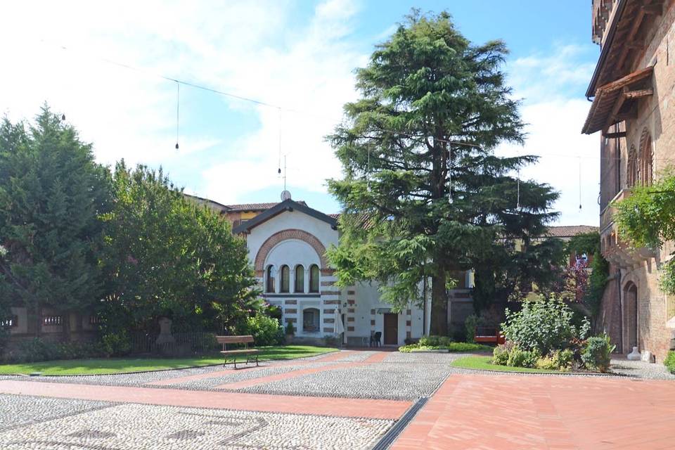 Pino secolare