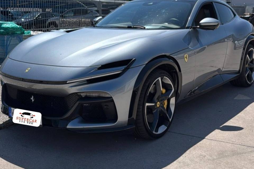 FERRARI PUROSANGUE