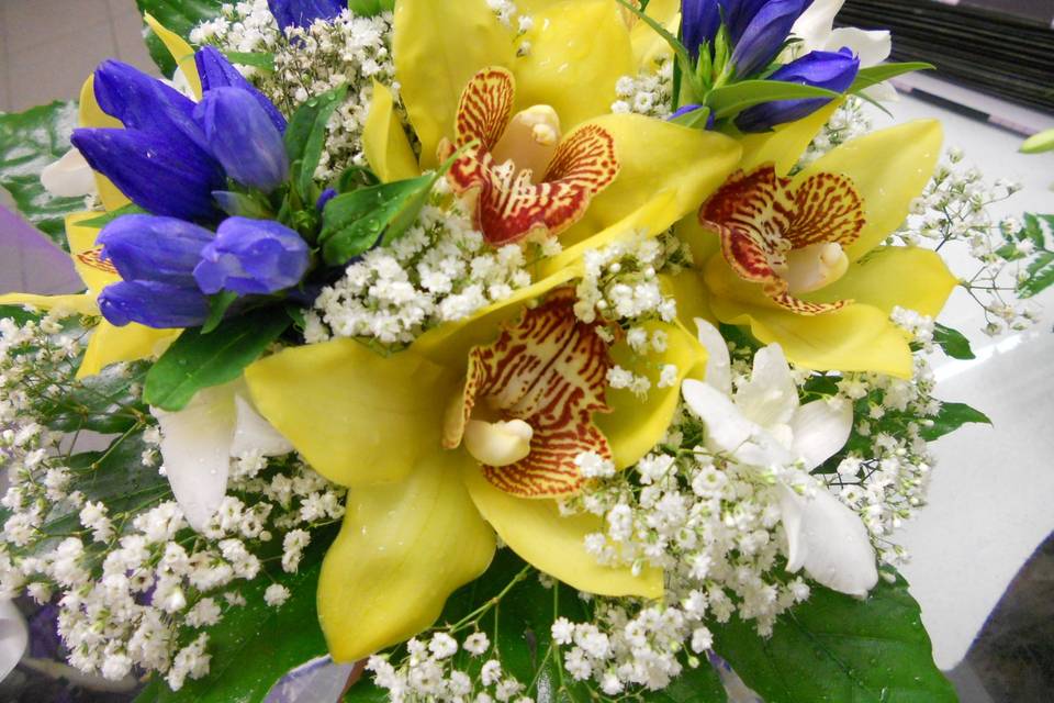 Bouquet sposa genziane e orchidee