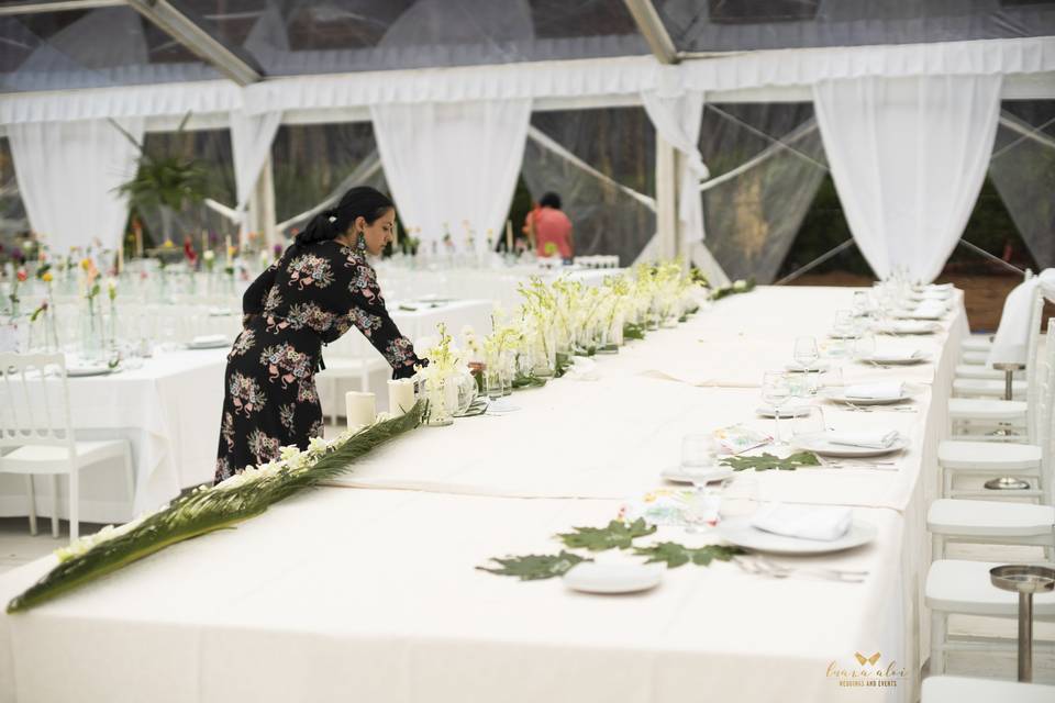 Luana Aloi Weddings & Events