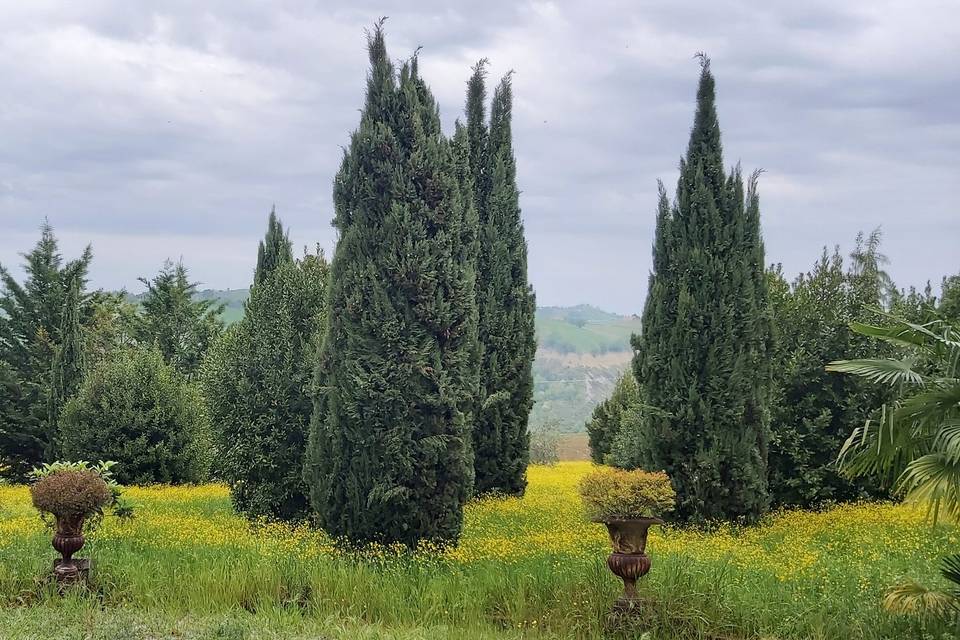 Giardino del palazzo