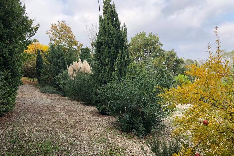 Strada  del giardino