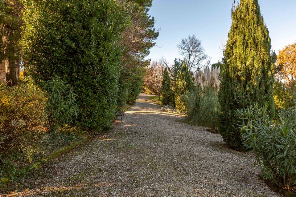 Viale del giardino