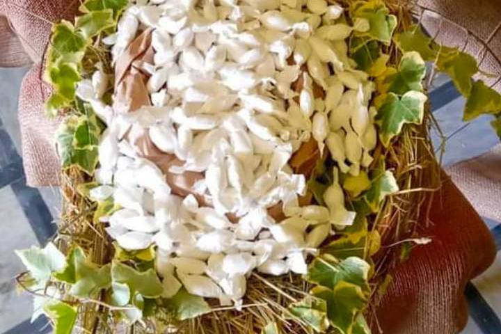 Matrimonio rustico in montagna