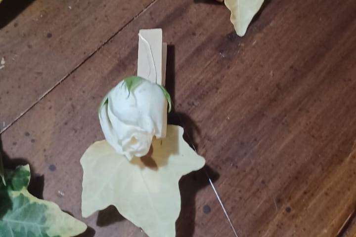 Rose ed edera