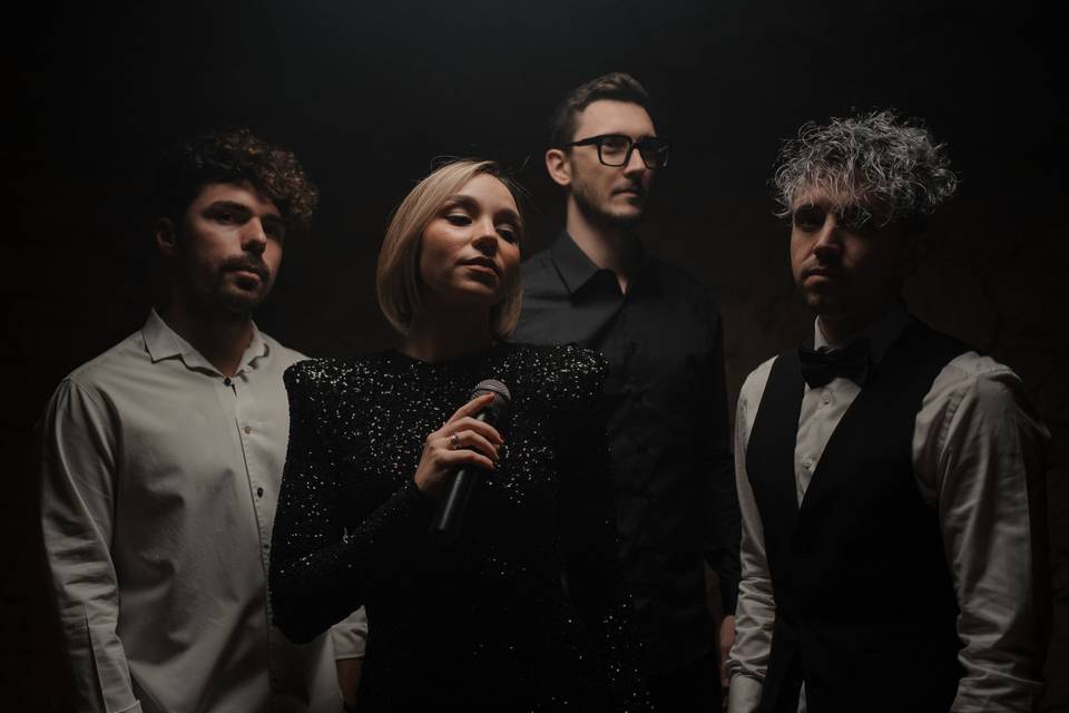 Diamonds Live Band