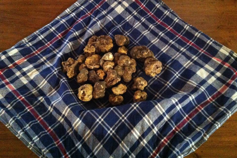 Tartufo bianco e nero