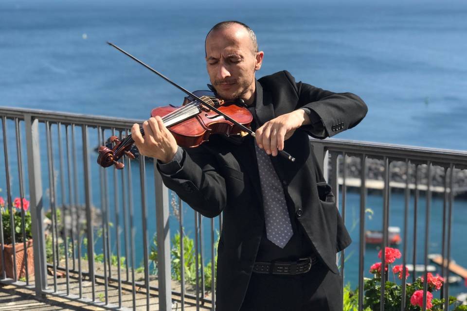 Violino