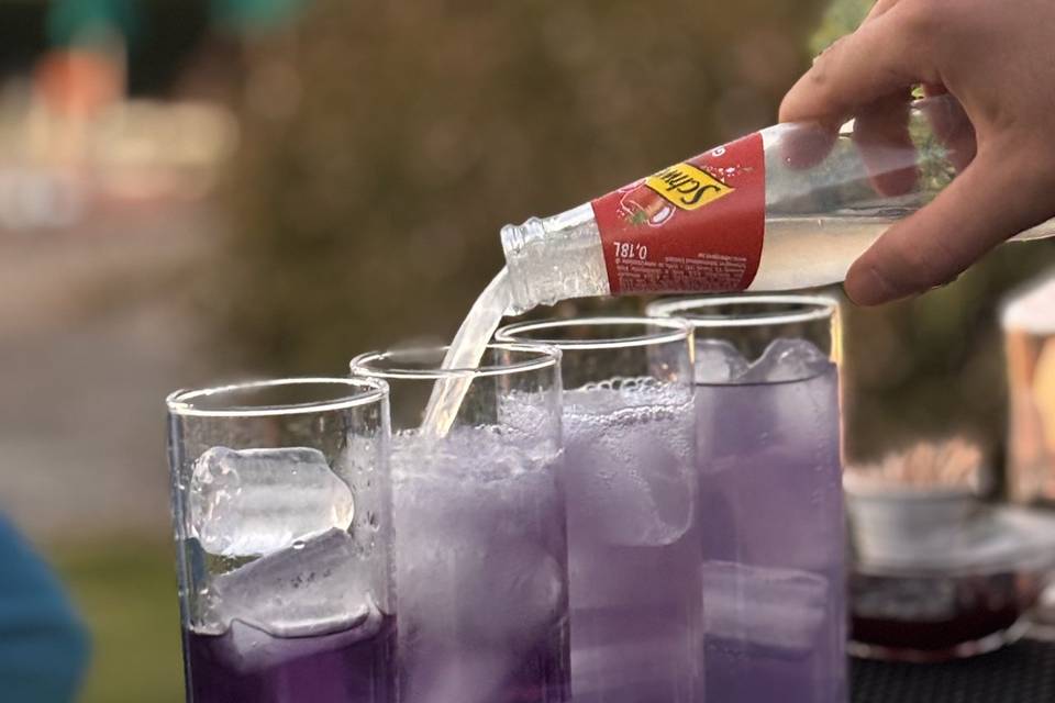 Violet Mule