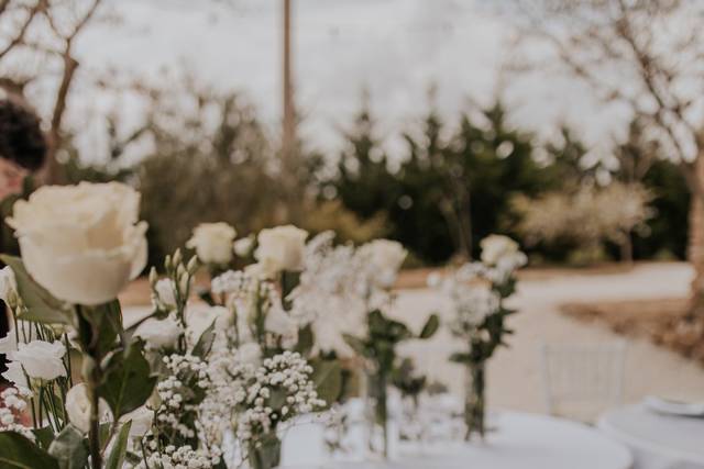 Alessia Palazzo Weddings & Events