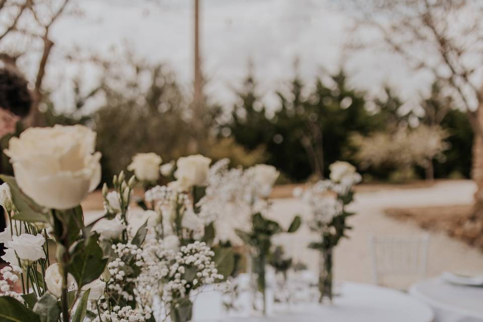 Alessia Palazzo Weddings & Events