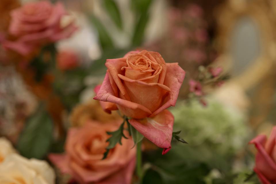 WEDDING IN SICILY