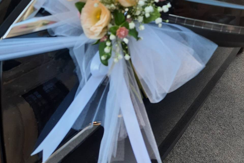 Decorazioni x auto