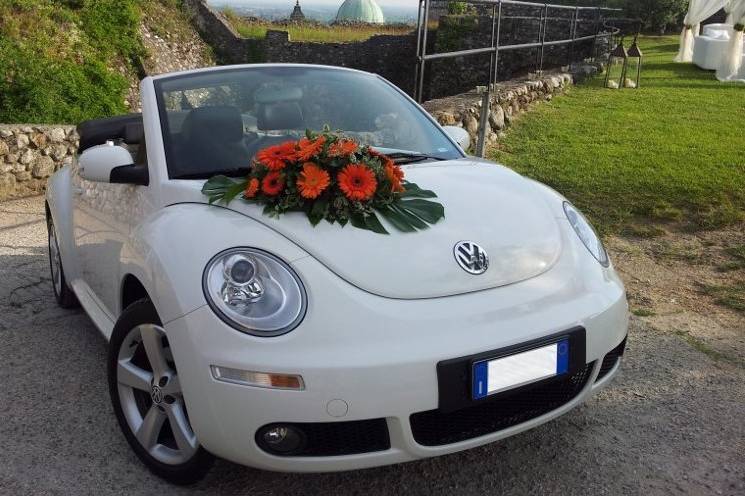 New Beetle Cabrio Bianco