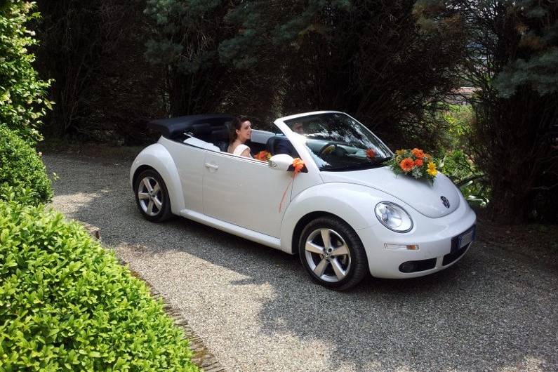 New Beetle Cabrio Bianco