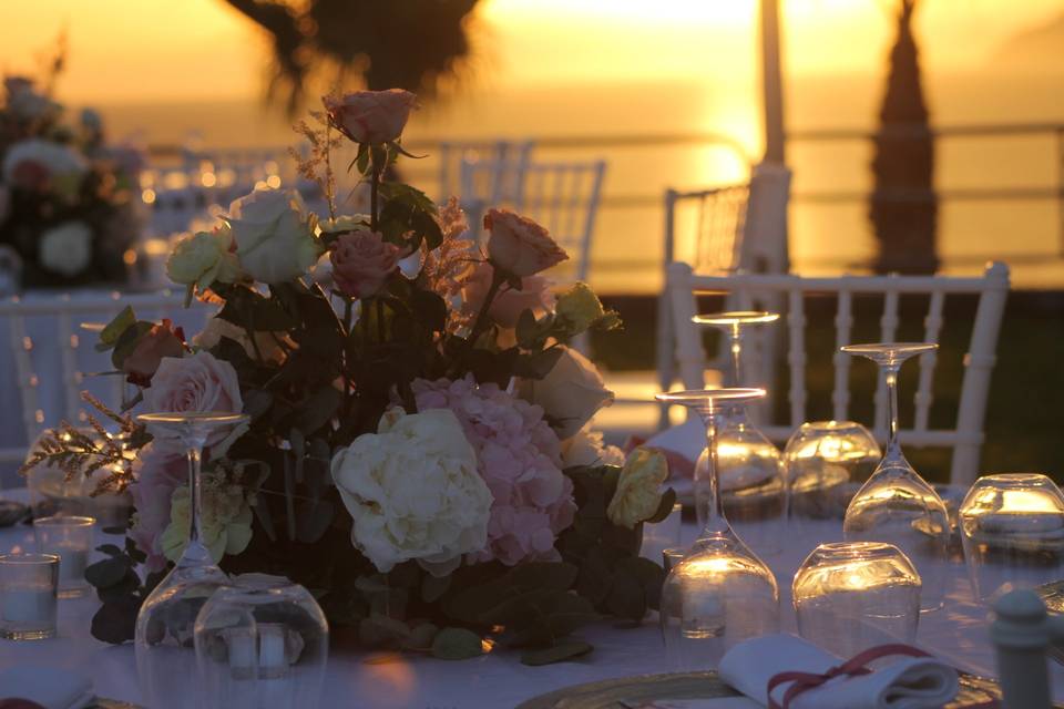 Fiori al tramonto