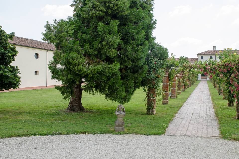 Cantine di Villa Grimani Morosini