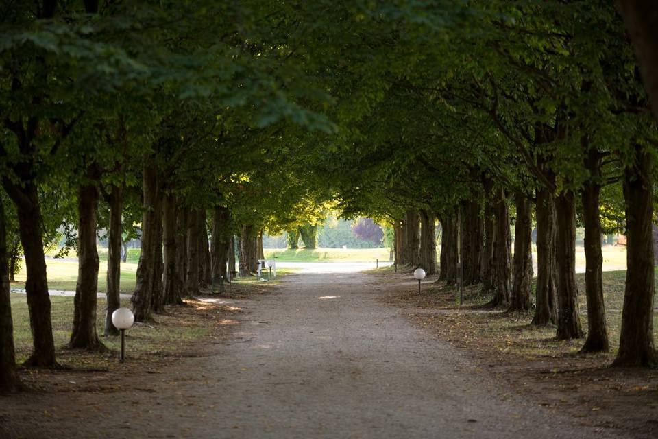 Cantine di Villa Grimani Morosini