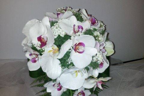 Bouquet di orchidee