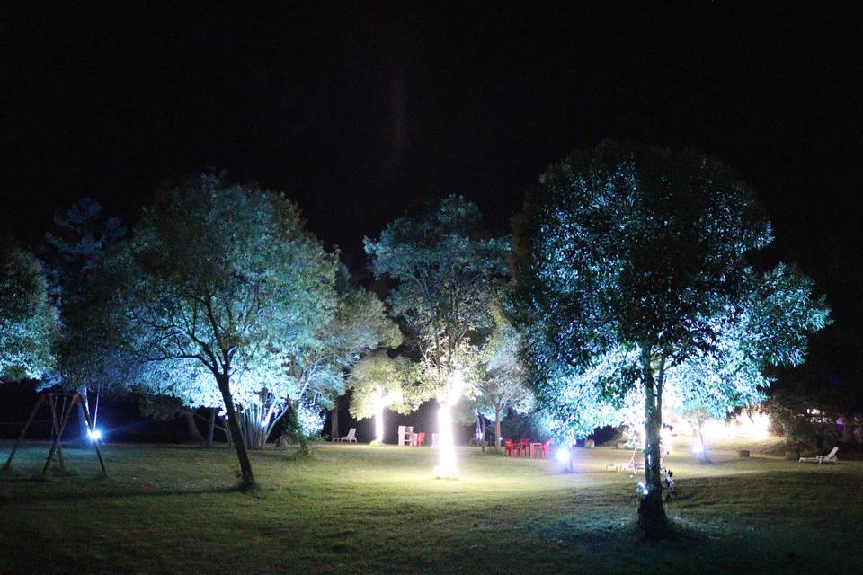 By night
