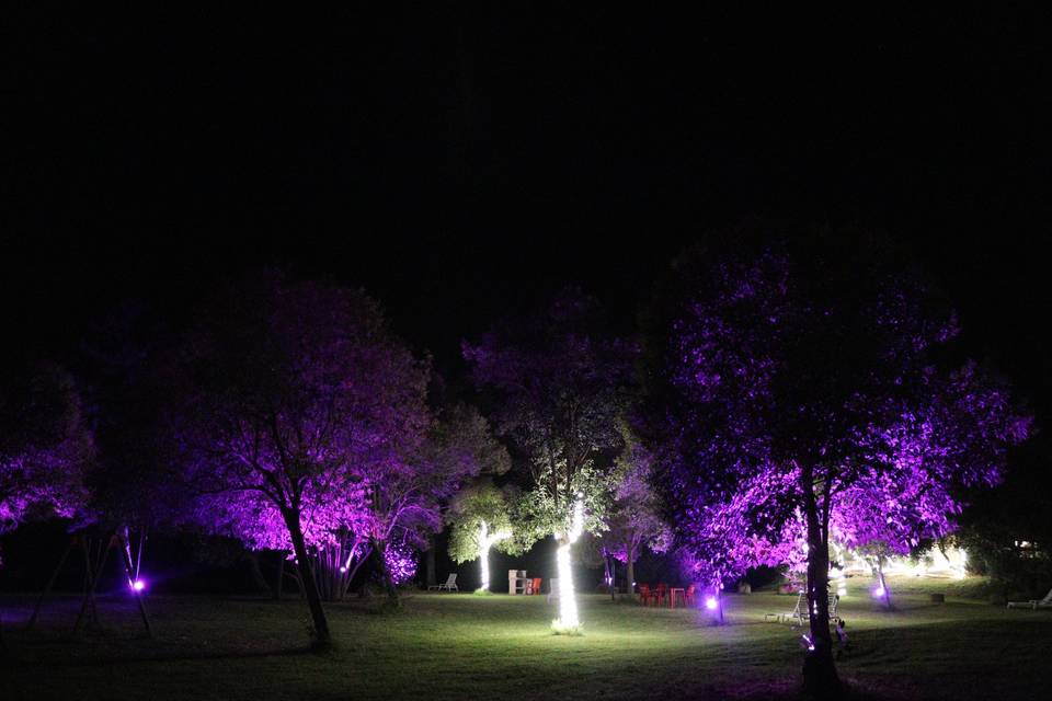 Notturna illuminata