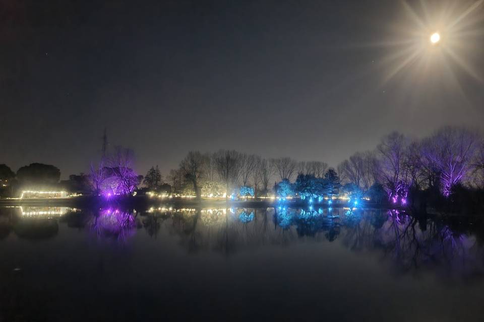 Parco di notte