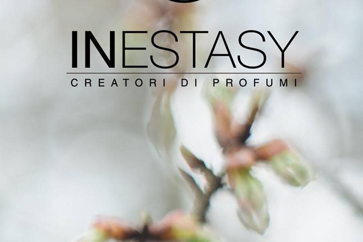 Inestasy Borgomanero