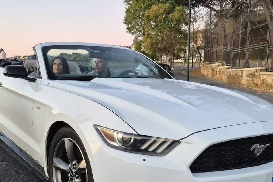 Mustang