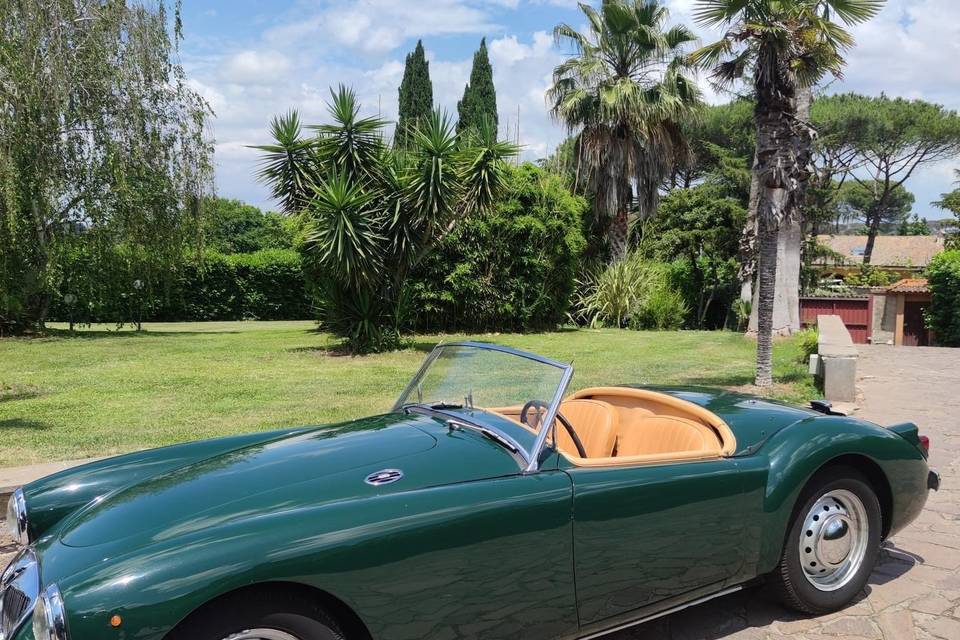 Jaguar XK120