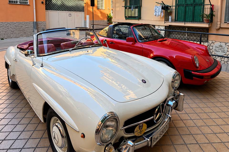 SL avorio