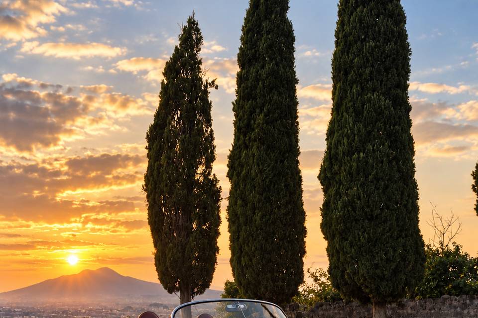 356 nera