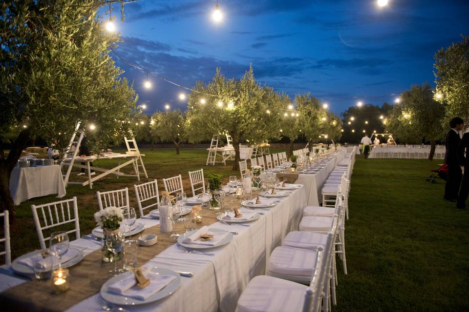 Brindisi, wedding in masseria